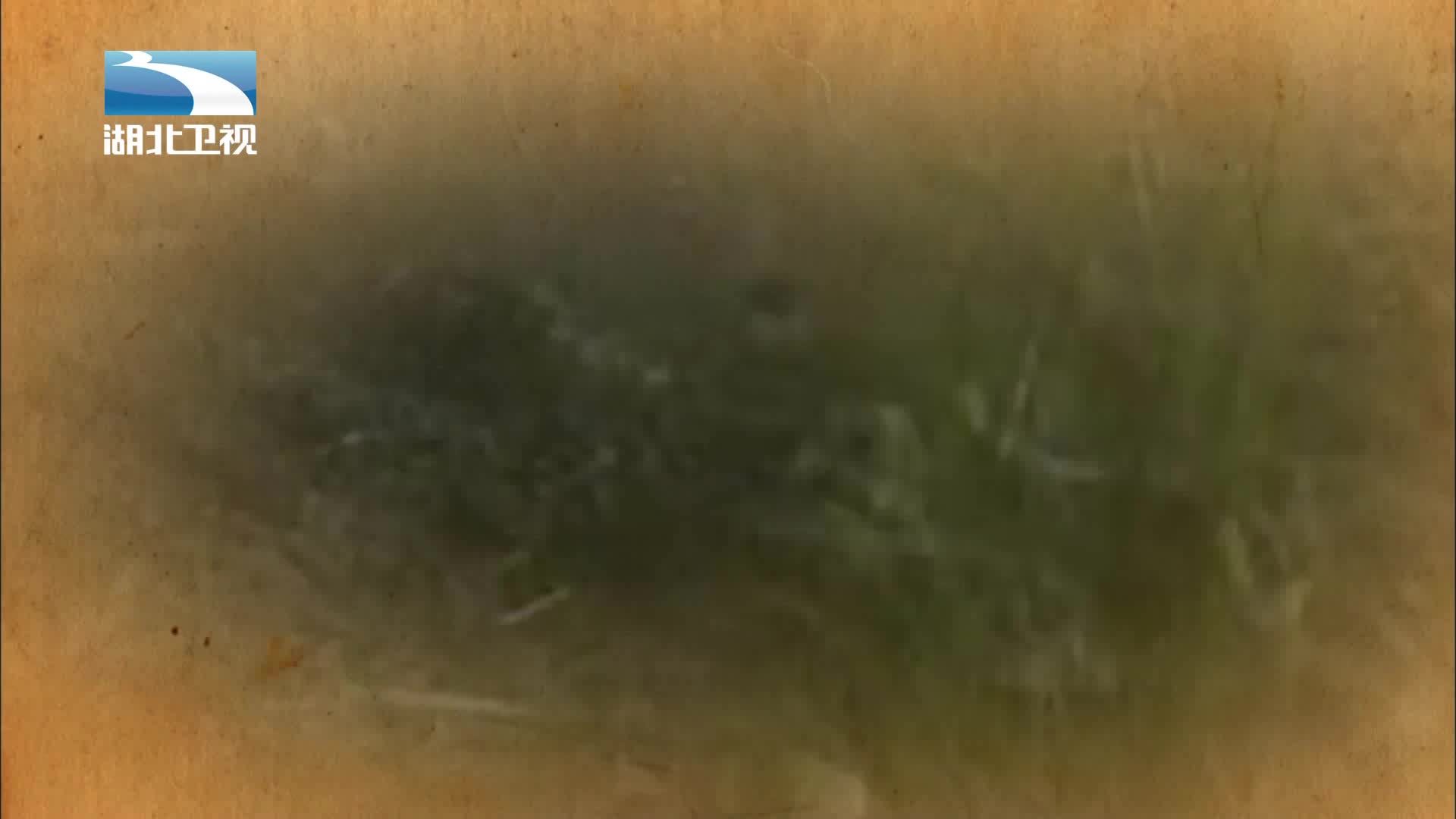 伟大长征 《伟大长征》第8集