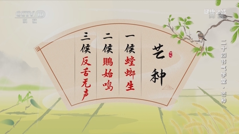 健康之路 《健康之路》 20220606 二十四节气学堂·芒种