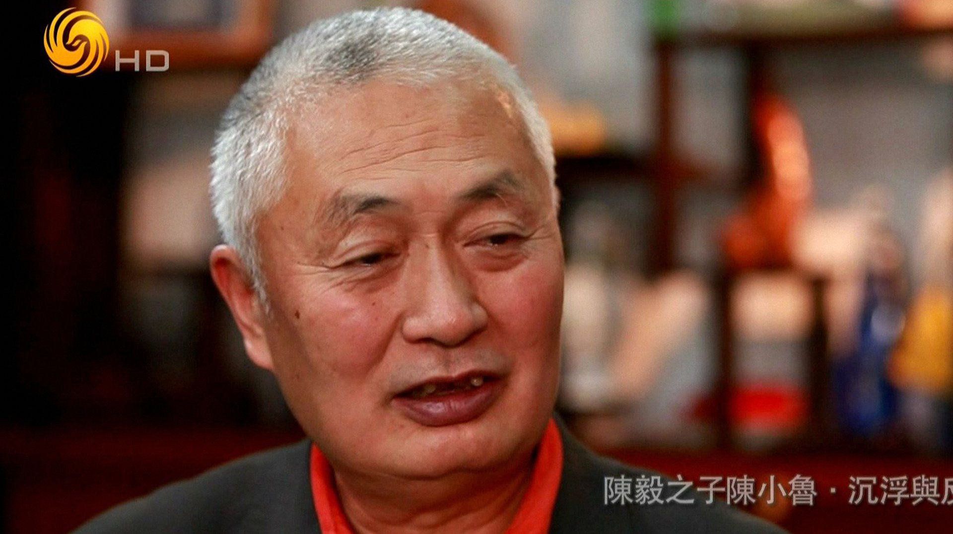 鲁豫有约 陈毅之子陈小鲁·沉浮与反思