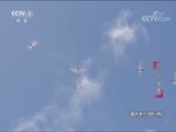 动物世界 《动物世界》 20180807 超凡猎手