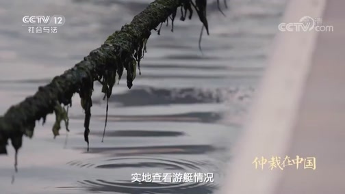 见证 《见证》 20181212 仲裁在中国 第三集 公信天下