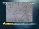 消费主张 《消费主张》 20170629 夏季消暑防晒消费调查：驱蚊产品谁最强？