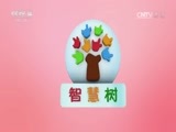 智慧树 《智慧树》 20170504