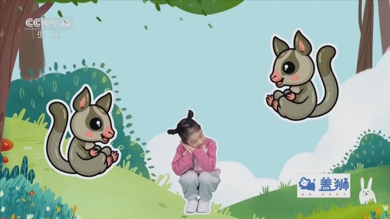 小小智慧树 《小小智慧树》 20231129