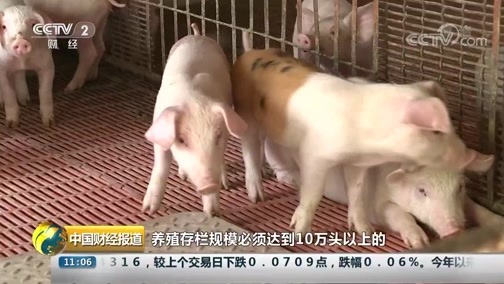中国财经报道 《中国财经报道》 20190912 11:00