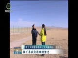 青海新闻联播 《青海新闻联播》 20170226