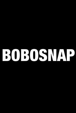 BOBOSNAP2016