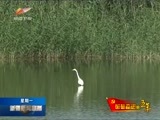 新疆新闻联播 《新疆新闻联播》 20170828
