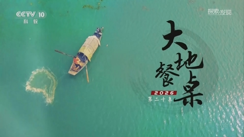 探索发现 《探索·发现》 20260612 大地餐桌2026（20）