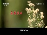 百家讲坛 《百家讲坛》 20170503 五百年来王阳明（25）战或不战