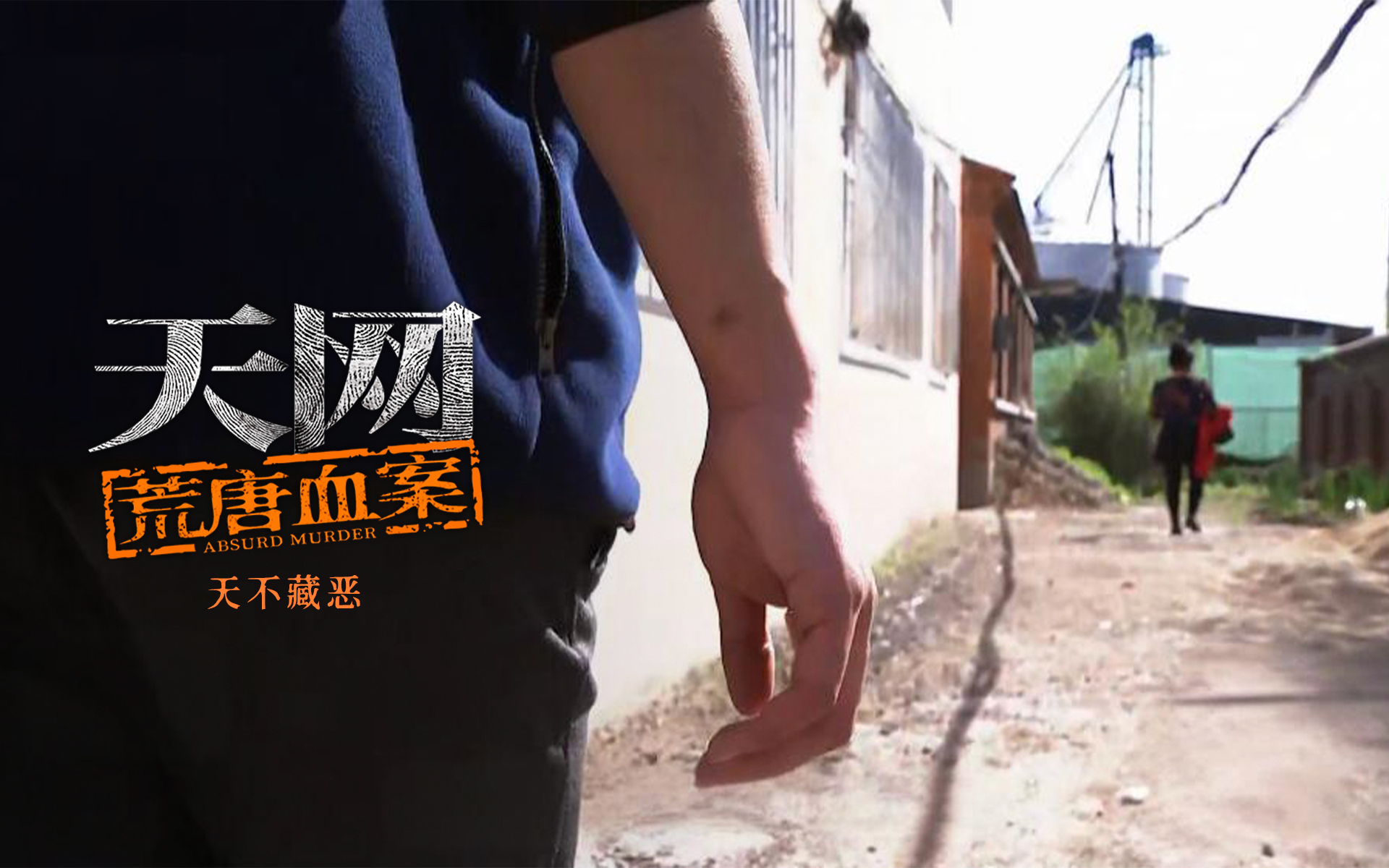 天网:荒唐血案 天不藏恶