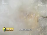 消费主张 《消费主张》 20180302 家乡的年味儿：河北唐山