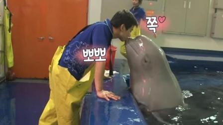 聊斋怪谈 海豚爱上男饲养员 一看到人就跳出水强吻