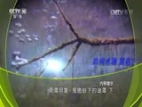 地理中国 《地理中国》 20160727 奇潭异象-鬼崽岭下的谜潭 下