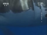 地理中国 《地理中国》 20171210 孤岛凶邻（下）