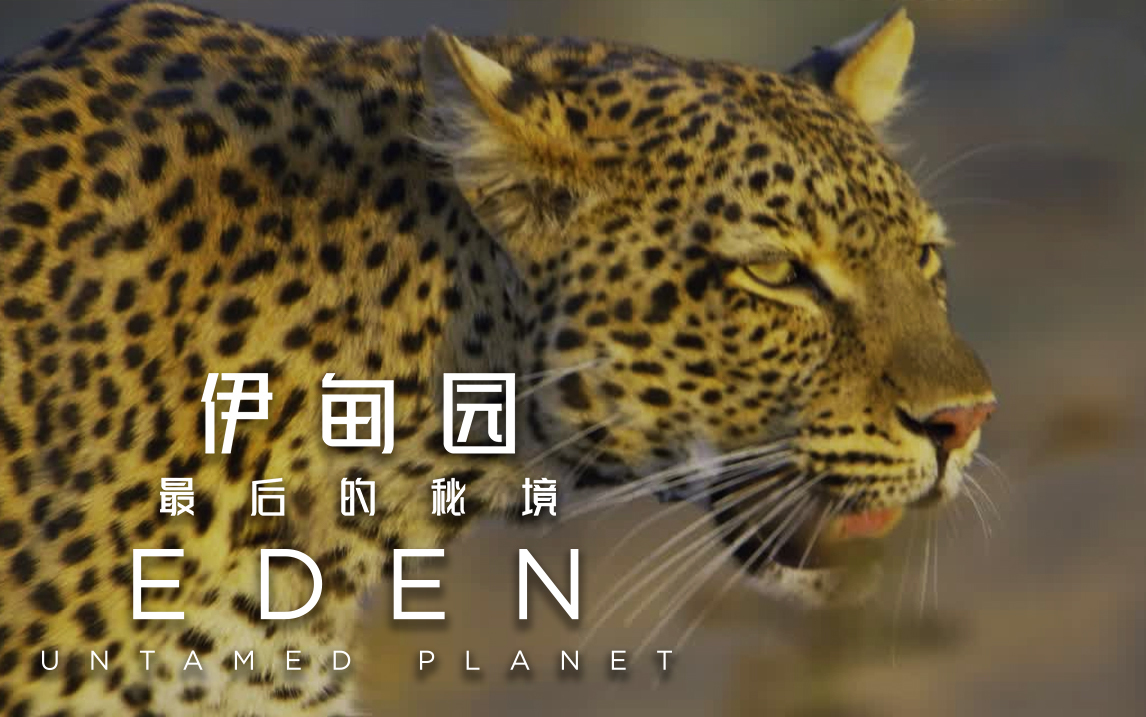 卢安瓜河谷