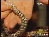 新闻袋袋裤 《新闻袋袋裤》 20121211