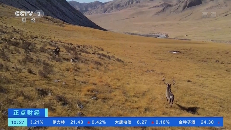 正点财经 《正点财经》 20221108 10:00