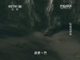 地理中国 《地理中国》 20140423 凤凰洞探秘