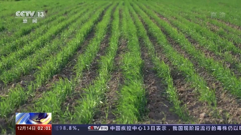 新闻直播间 《新闻直播间》 20221214 02:00