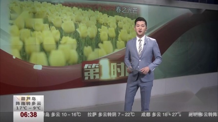 第一时间 沈阳世博园：百万郁金香打造春之光芒