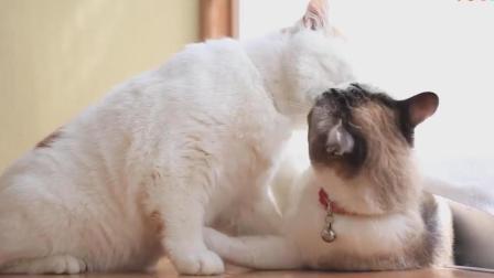 有女朋友是一件多棒的事？ 单身狗慎点