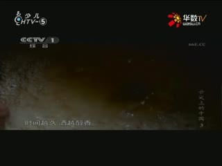 名师公开课 《细菌和真菌的繁殖》授课教师：赵少蔚