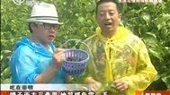 人气美食 温州面食人气高 一碗面里八种海鲜？