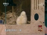 加油向未来第3季 《加油！向未来》第三季 20180812