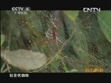 远方的家 《百山百川行》特别节目 勇敢者的美食《远方的家》 20130814