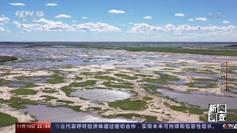 新闻调查 《新闻调查》 20221119 民乐村治碱