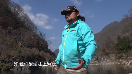 秦岭飞蝇钓法找寻细鳞鲑，提倡保护国家稀有鱼种