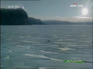 人与自然 人与自然 2009年 第8期