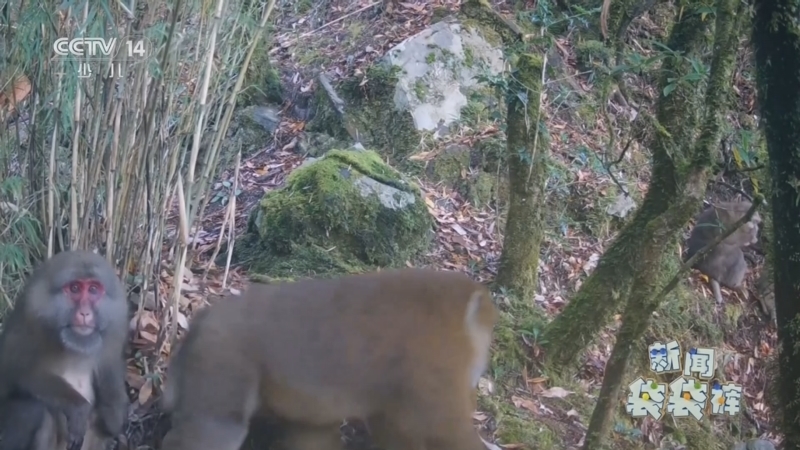 《新闻袋袋裤》 20260302