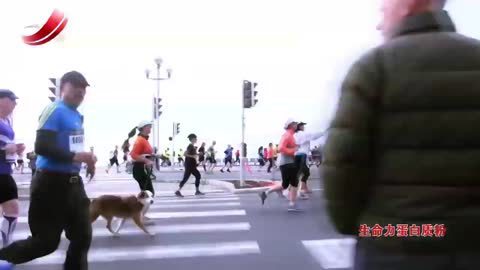 带着爸妈去旅行 第1季 被迫住廉价旅馆 孙海英恼火罢录