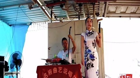 河南坠子 范翠霞 刘公案斩刘墉