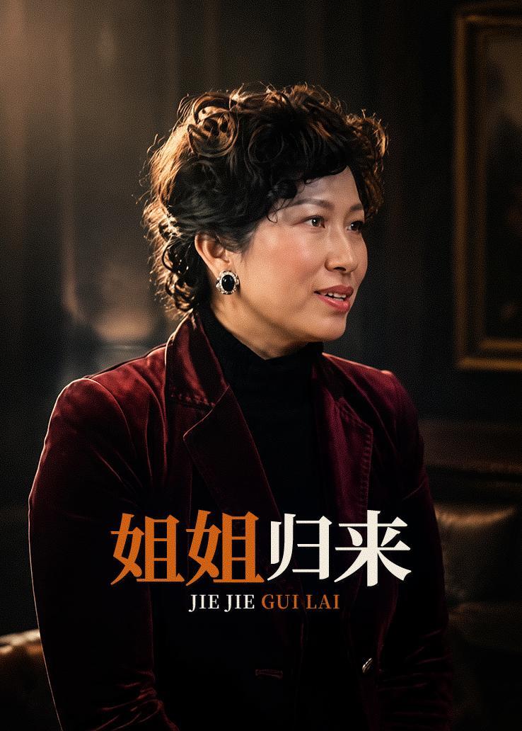 姐姐归来