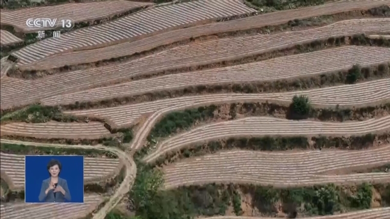 共同关注 《共同关注》 20260515