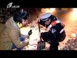 新闻午报-山西 《新闻午报-山西》 20170119