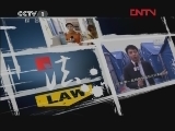 今日说法 《今日说法》 20120226 机场里的一只狗