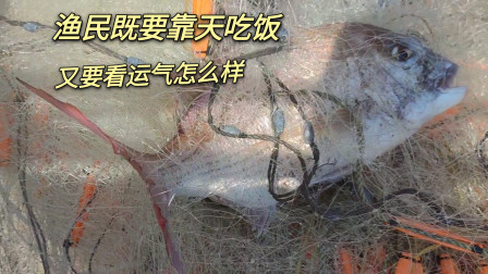 南澳岛赶海日记 渔民既要靠天吃饭，而且还要看运气怎么样，赚钱真的有点难