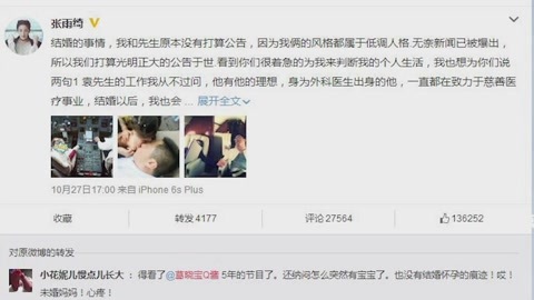 屏行星乐汇 张雨绮遭老公前女友指责带孩子作秀