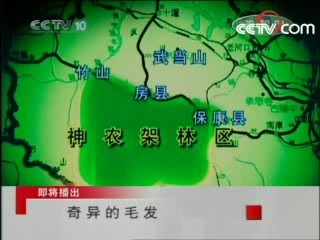 走近科学 奇异的毛发
