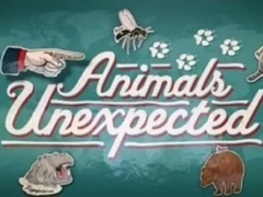 不期而至的动物（Animals Unexpected） 不期而至的动物（Animals Unexpected）：最令人意想不到的动物入侵