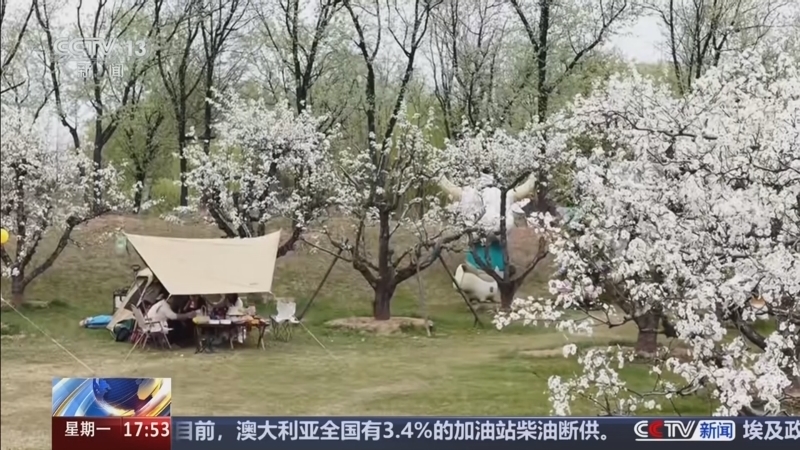 《新闻直播间》 20260406 17:00