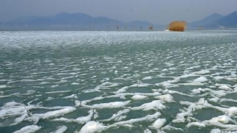 新闻手语20210128
