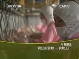 走近科学 《走近科学》 20150126 疯狂的食物——食物工厂