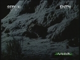 人与自然 《人与自然》 20130121 自然启示 暗夜奇观