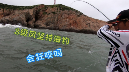 8级风阿杰依然出海钓鱼，这样的天气不是狂咬就是打龟，是真的吗