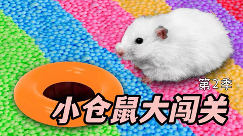小仓鼠大闯关第2季